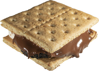 Brightly lit camping treat of a smore