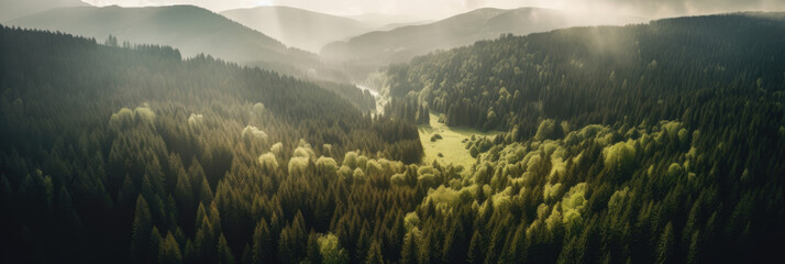 Panoramic view of foggy forest in the morning. Panoramic landscape