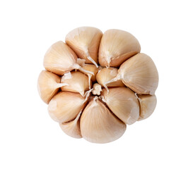 Top view of single fresh white garlic bulb isolated on white background with clipping path in png file format, Thai herb is great for healing several severe diseases, heart attack