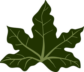 Vector set of green ivy leaves isolated on a white background.