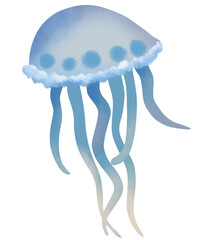 jellyfish