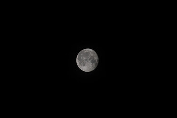 Mond 