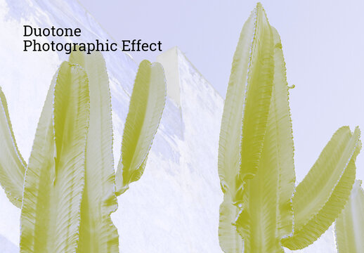 Duotone Photographic Effect