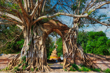 The portal of time at Ayutthaya - 625913665