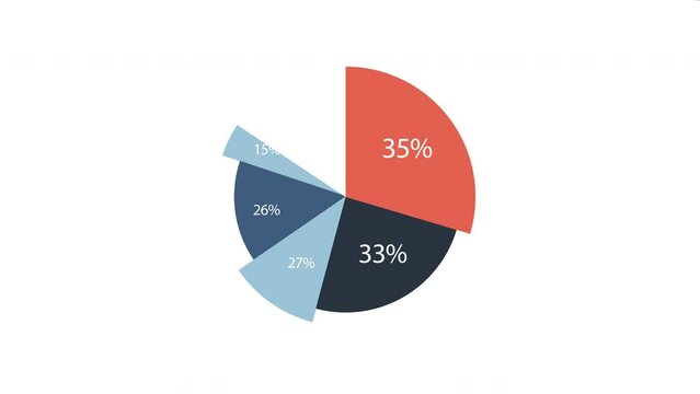 Simple elegant pie chart on white background showing percentages
