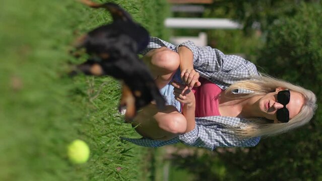 Young caucasian owner woman playing with her dog toy terrier at outdoor ball training in city park. Dog runs after ball and brings it back. They happy and as reward she gives him yummy. vertical video