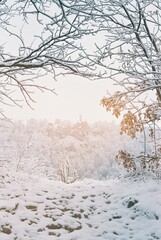 Snow covered castle in Winter 