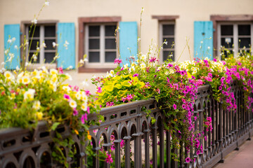 Fototapeta na wymiar Colorful summer flowers (Petunias) in pink, yellow and white on a historic bridge in old town “Little France“ of Strasbourg, Alsace. Old metal railing and facade with turquoise wooden shutters.