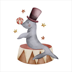 cute seals circus animal watercolor illustration clipart  © Yuni