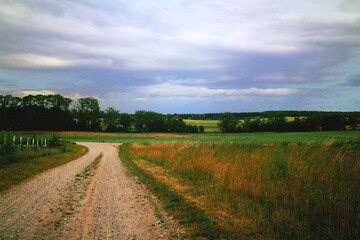 Naklejka premium road in the field