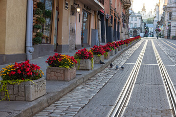 Fototapeta na wymiar Flowerdeds in Lviv city center