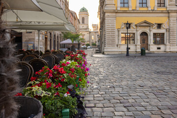 Flowerdeds in Lviv city center