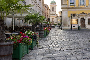 Flowerdeds in Lviv city center