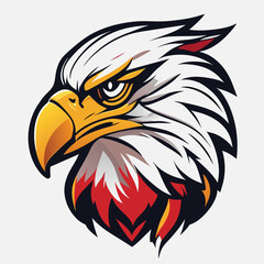 american bald eagle head