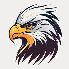 Fototapeta premium bald eagle head