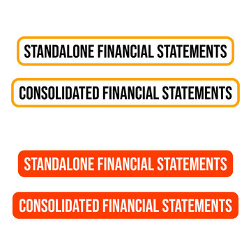 Standalone financial statements consolidated revenue business money button icon label design vector