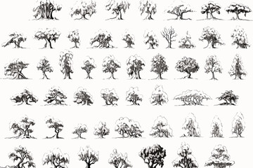 collection of trees vector, tree, nature, silhouette,