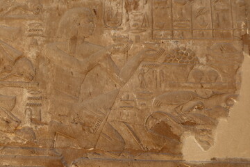 Inscriptions on the walls of the magnificent Luxor temple in Luxor in Egypt