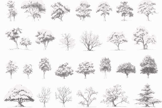 set of silhouettes of trees, vector, nature, leaf, illustration, forest, black, branch, plant, pine