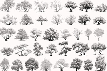 Fototapeta premium tree, silhouette, vector, nature, leaf, forest, illustration, black, branch, trees, palm, pine, plant, art, set, oak, design, outline, wood, drawing, leaves, birch, icon, autumn, collection