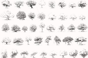 tree, silhouette, vector, nature, leaf, forest, illustration, black, branch, trees, palm, pine, plant, art, set, oak, design, outline, wood, drawing, leaves, birch, icon, autumn, collection