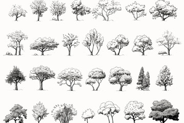 collection of trees vector
