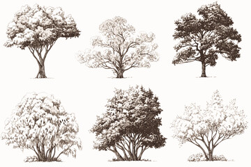 Obraz premium set of silhouettes of trees vector