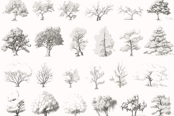 collection of trees