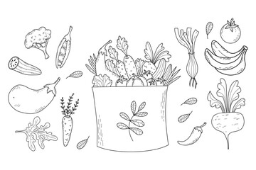 Eco bag with vegetables. Collection vector outline hand drawings. Isolated paper bag with food, carrot, beetroot, tomato, cucumber, eggplant, peas and cauliflower on white background.