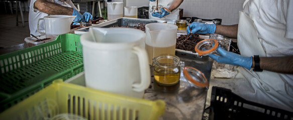 The working process of making sardines in oil at the canned food and vegetable factory. Workers on...