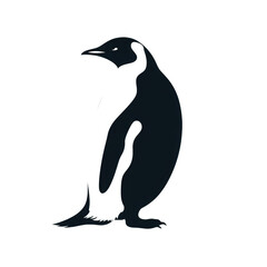 penguin looking isolated on white