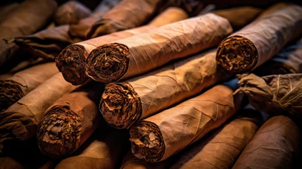 Fototapete Havana Cigar closeup view tobacco