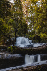 waterfall in the forest