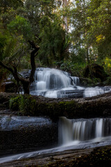 waterfall in the forest