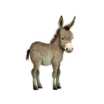 Cute baby Donkey delightful boho illustration, Generative AI