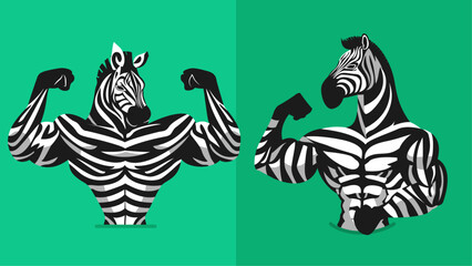 Strong zebra animal showing his muscles, mascot logo, different shapes, character designs set, angry huge zebra with athletic body, flat character vector illustration - obrazy, fototapety, plakaty