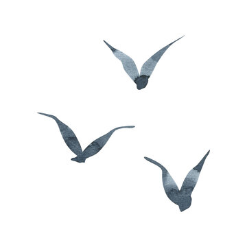 Gray silhouettes of flying gulls are abstract. Watercolor illustration drawn by hand in a children's simple style. A set of isolated elements on a white background.
