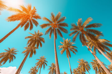 Palm tree branches over blue sky, tropical background with copyspace and frame Generative AI