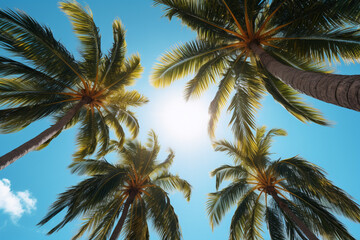 Fototapeta na wymiar Palm tree branches over blue sky, tropical background with copyspace and frame Generative AI