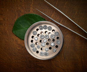 Ethical Lab Grown Diamonds with Small Green Leaf. Eco-Friendly Diamond Photograph on Wooden Background. 