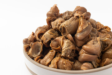 Whelk on a white background