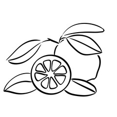 Raster Illustration,, simple, glyph, isolated, black, icon, symbol, object, lemon