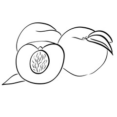 Raster Illustration,, simple, glyph, isolated, black, icon, symbol, object, peach
