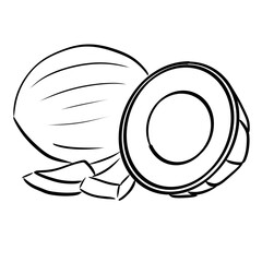 Raster Illustration,, simple, glyph, isolated, black, icon, symbol, object, coconut