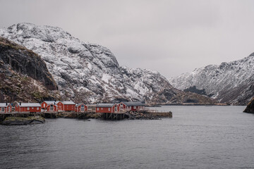 red cabins in fishermen village in the Lofoten