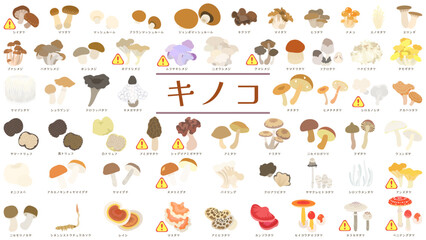 食用キノコ58種類のベクターイラストセット。生食や特定条件下で有毒なキノコには！マークを記載。
Vector illustration set of 58 edible mushrooms (with a 