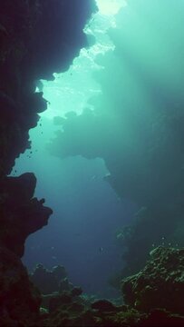 Vertical video, Camera moves forward into coral caves on sunny day in bright sunlight, Slow motion, Backlighting (Contre-jour)