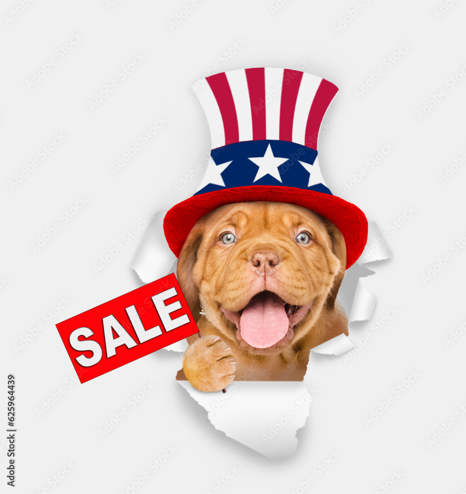 Poster happy mastiff puppy wearing like uncle sam looking through a hole in paper and shows signboard with 