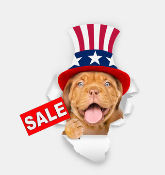 Happy Mastiff puppy wearing like Uncle Sam looking through a hole in paper and shows signboard with labeled "sale". isolated on white background