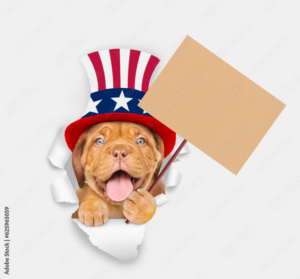 Poster happy mastiff puppy wearing like uncle sam looking through a hole in paper and shows empty placard. 